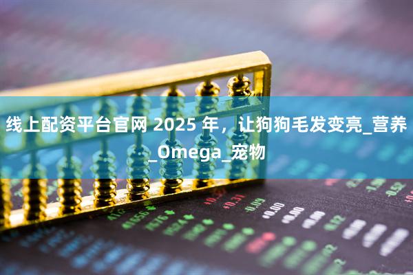 线上配资平台官网 2025 年，让狗狗毛发变亮_营养_Omega_宠物