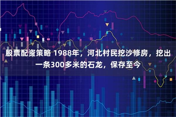 股票配资策略 1988年，河北村民挖沙修房，挖出一条300多米的石龙，保存至今